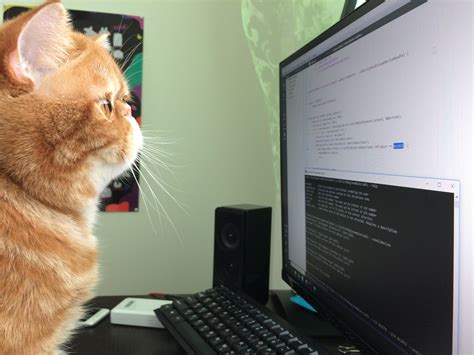 python 勉強方法: 猫がコードを書く夢を見る